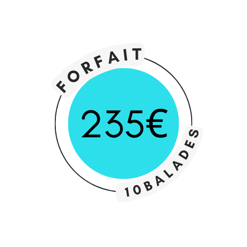 prix balade de chiens